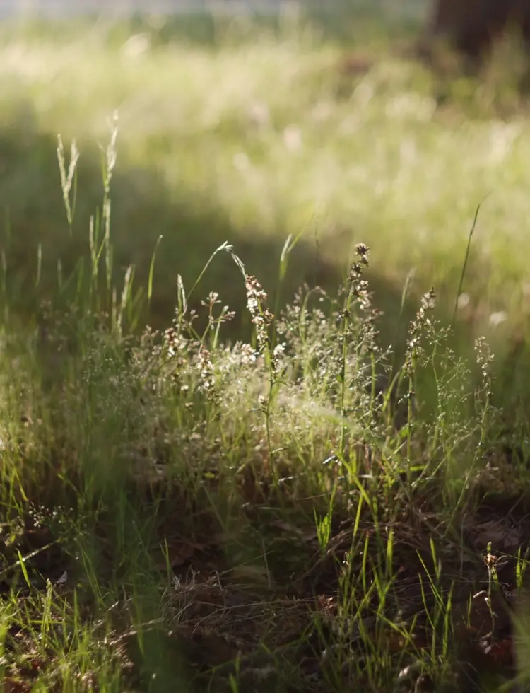 お客様作り手様と共に育つ